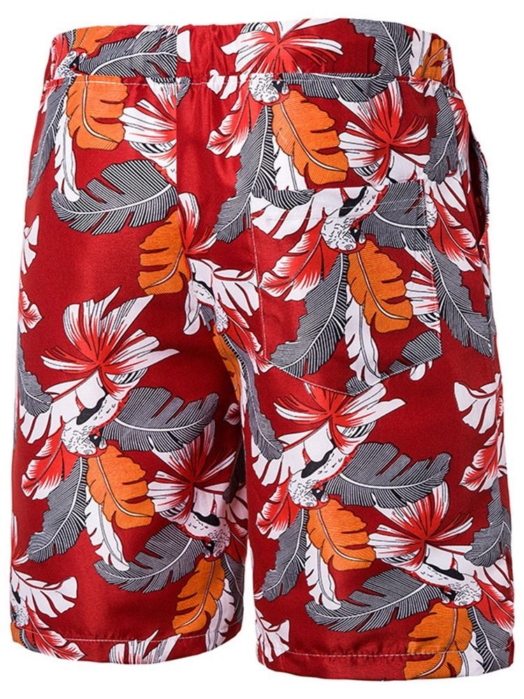 Print Plant Casual Casual Shorts For Menn Med Snøring