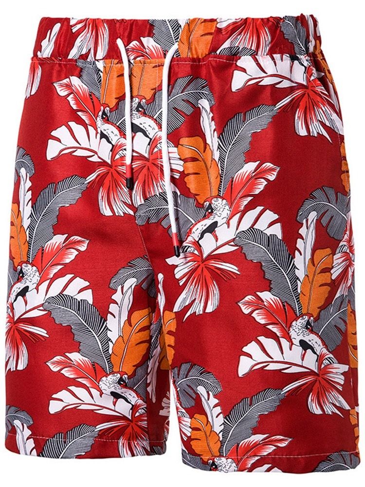 Print Plant Casual Casual Shorts For Menn Med Snøring