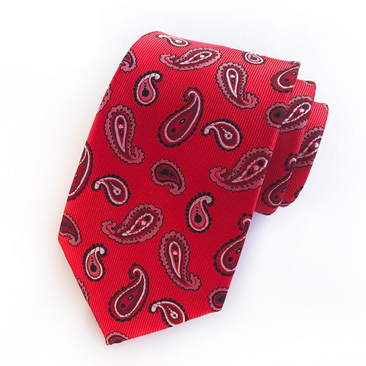 Bedrifter Paisley Tie For Man