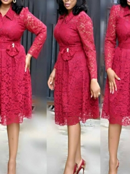 Plus Size Lace Ol Lapel Hollow Bow Mid Waist Dress