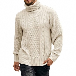 Turtleneck Vanlig Standard Uformelt Vintergenser