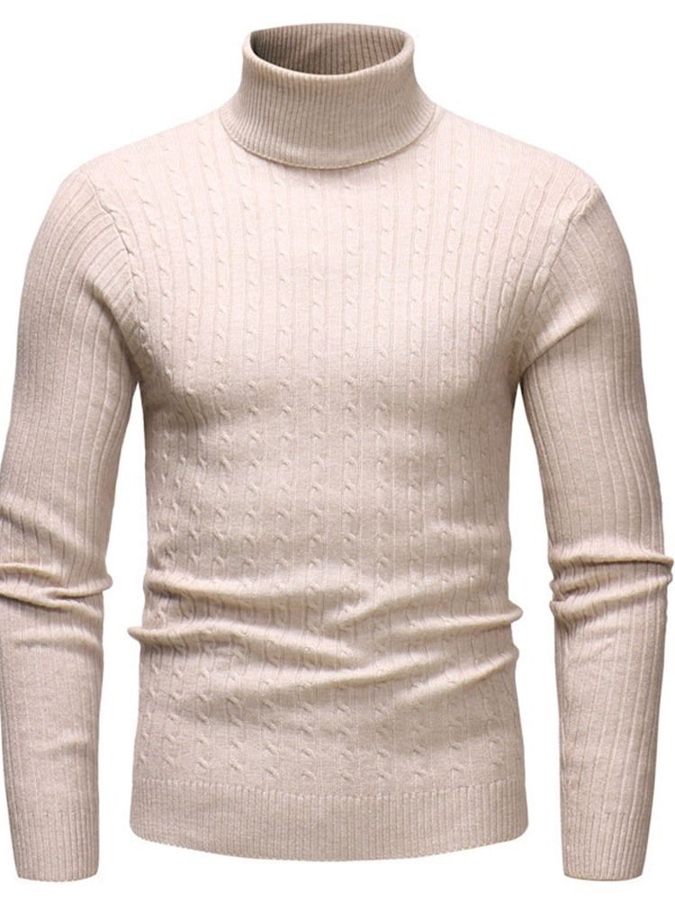 Vanlig Standard Turtleneck Uformell Slank Genser For Menn