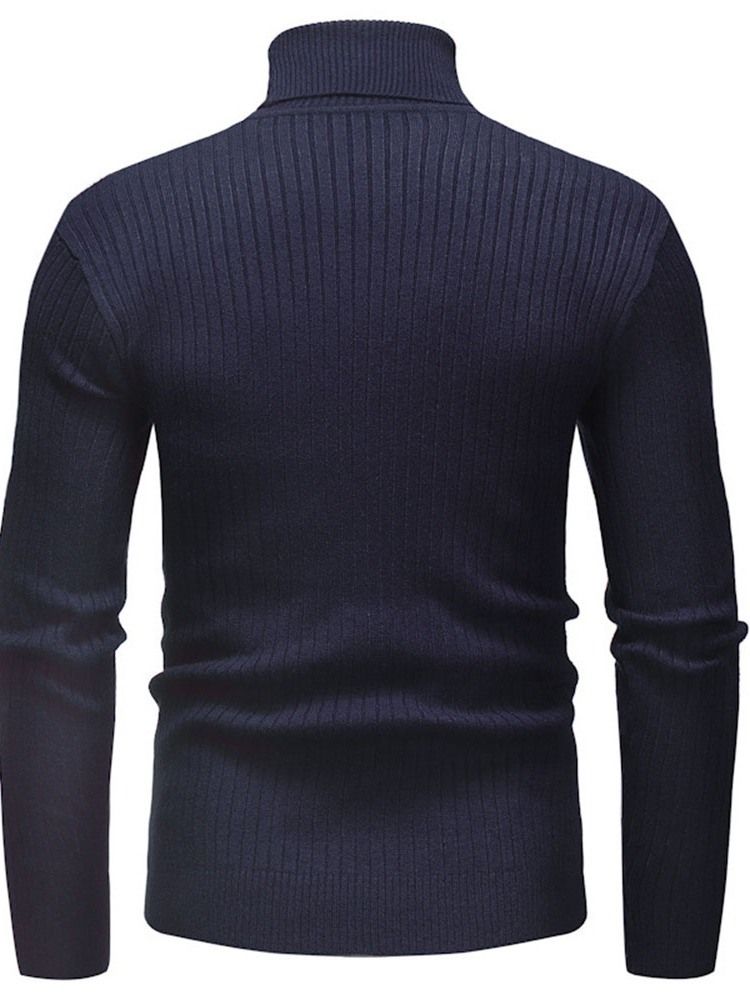 Vanlig Standard Turtleneck Uformell Slank Genser For Menn