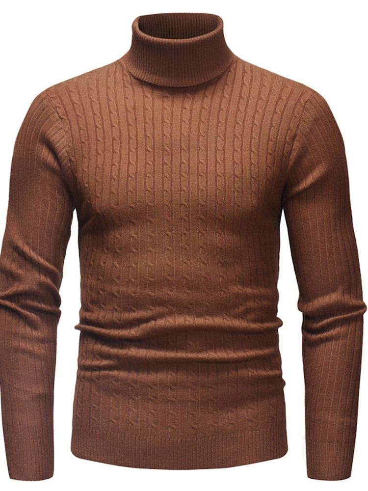 Vanlig Standard Turtleneck Uformell Slank Genser For Menn