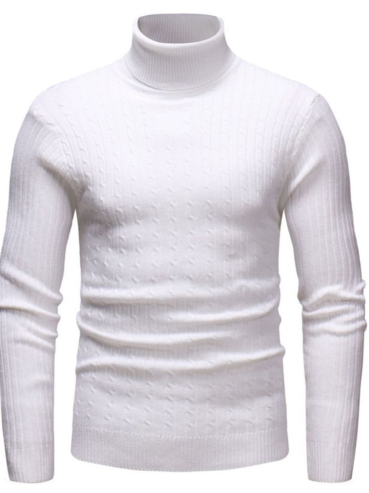 Vanlig Standard Turtleneck Uformell Slank Genser For Menn