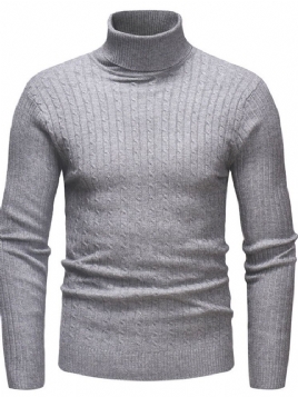 Vanlig Standard Turtleneck Uformell Slank Genser For Menn