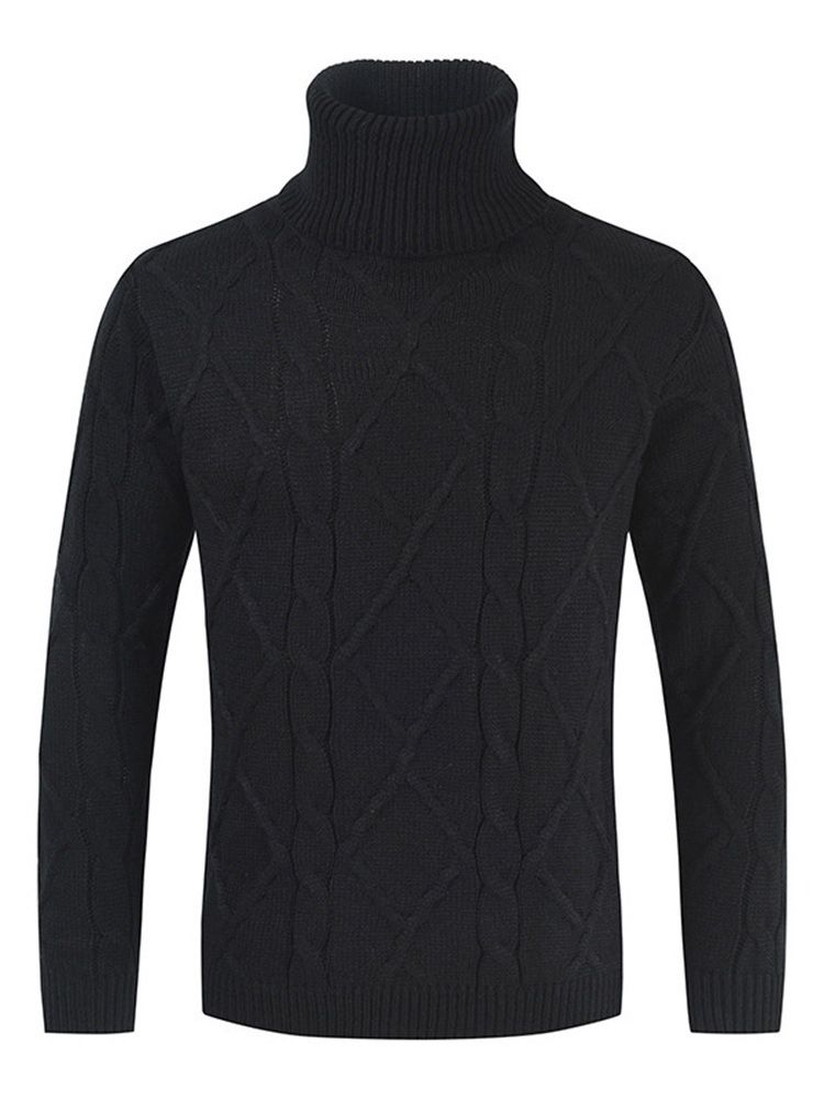 Vanlig Turtleneck Standard Koreansk Vintergenser